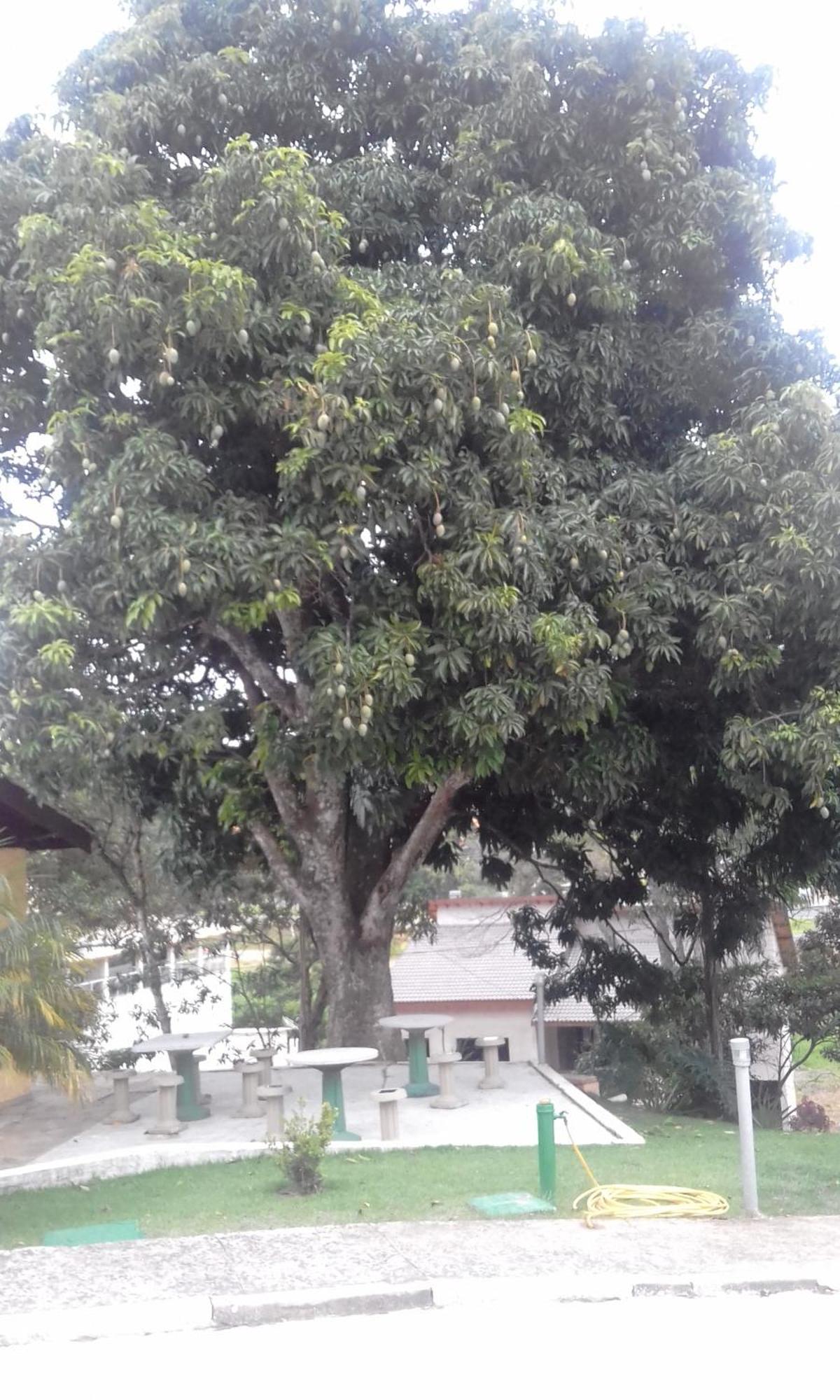 סרה נגרה Hotel Pousada Gurupia מראה חיצוני תמונה